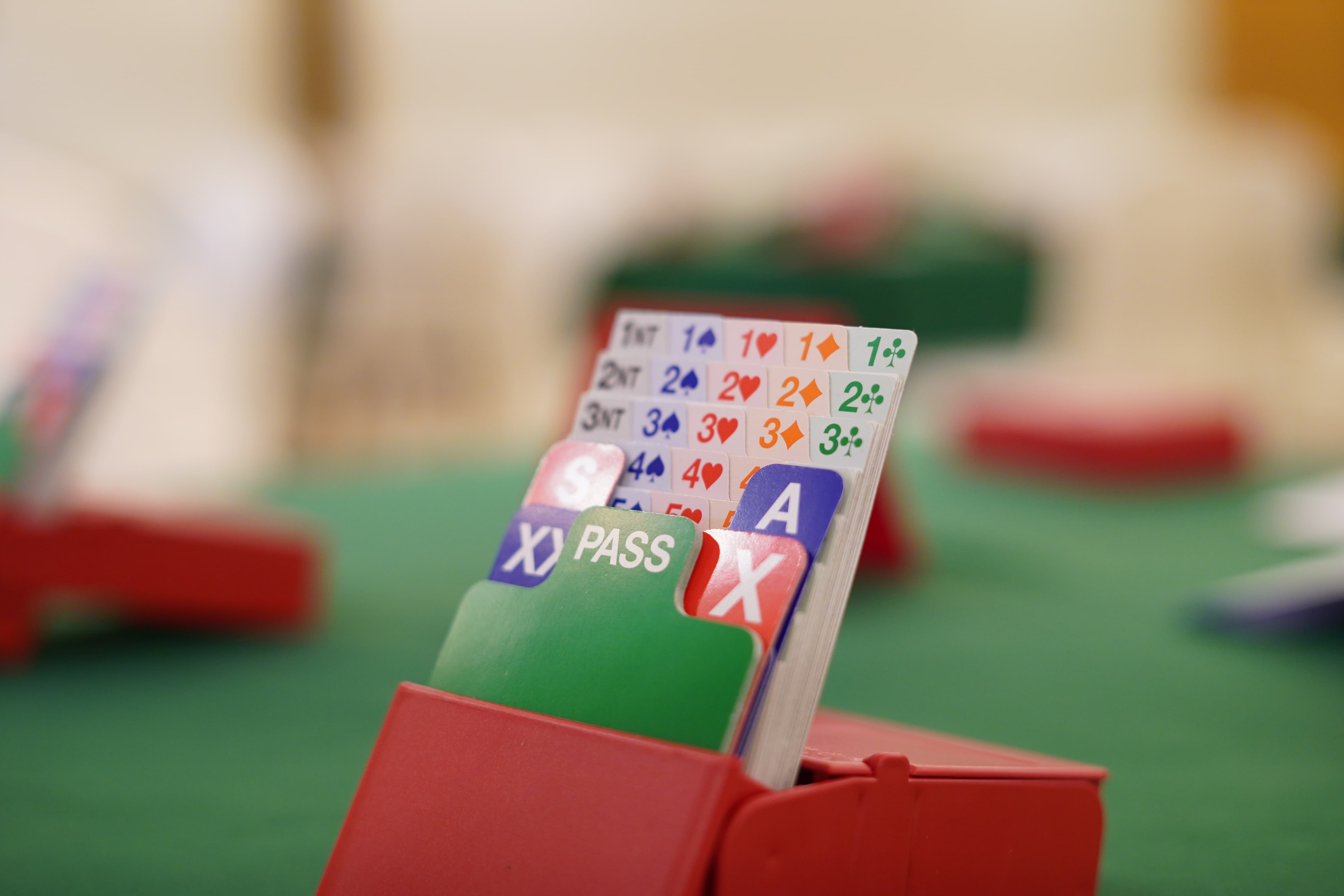 Saudi Arabia Launches the Arab Bridge Championship in Jeddah